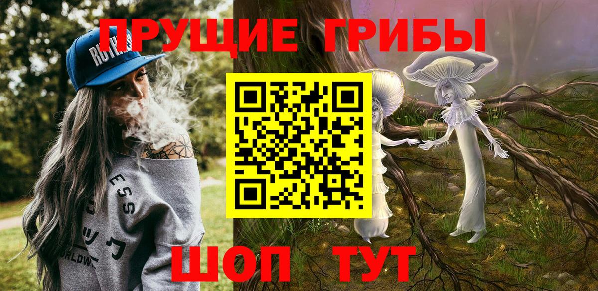 сколько стоит  Псилоцибиновые грибы прущие грибы  Невинномысск  Вход с VPN  Галлюциногенные грибы Magic Shrooms 